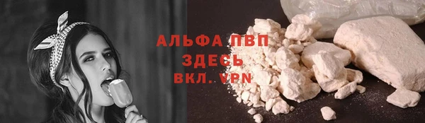 2c-b Козельск