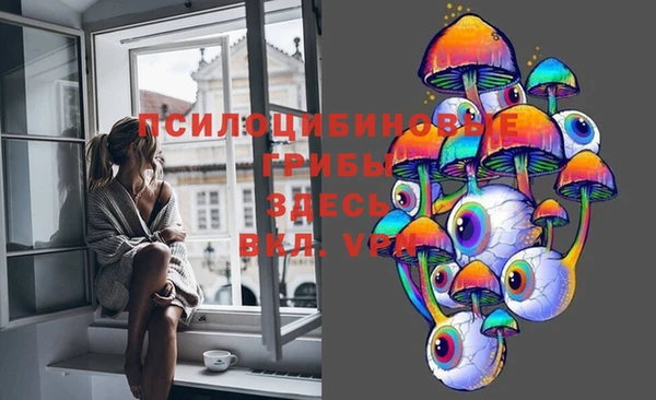 a pvp Кодинск
