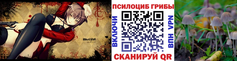 Купить закладки  Железногорск-Илимский  Псилоцибиновые грибы ЛСД 