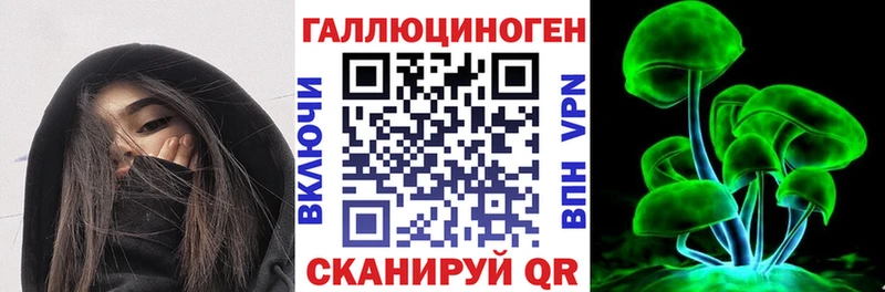 Галлюциногенные грибы Cubensis Железногорск-Илимский