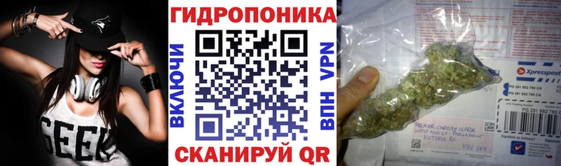 Купить  Железногорск-Илимский  Бошки марихуана ГИДРОПОН 